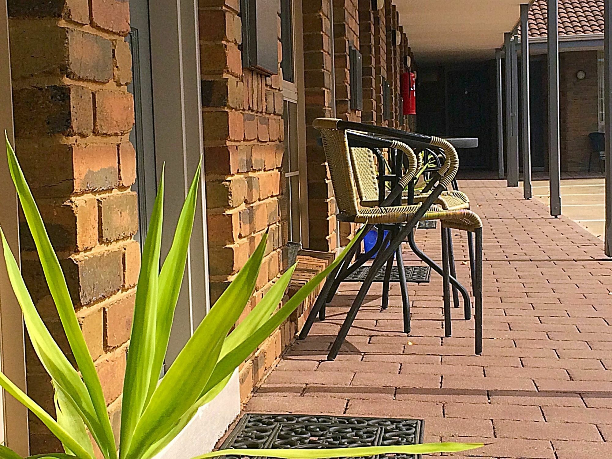 Pevensey Motor Lodge Echuca Esterno foto